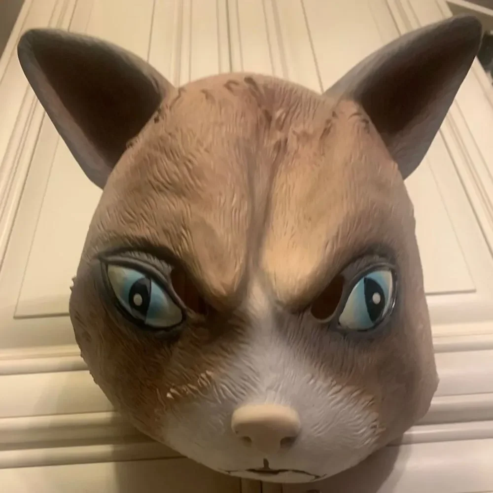 Cattitude mask Angry Cat Grumpy face